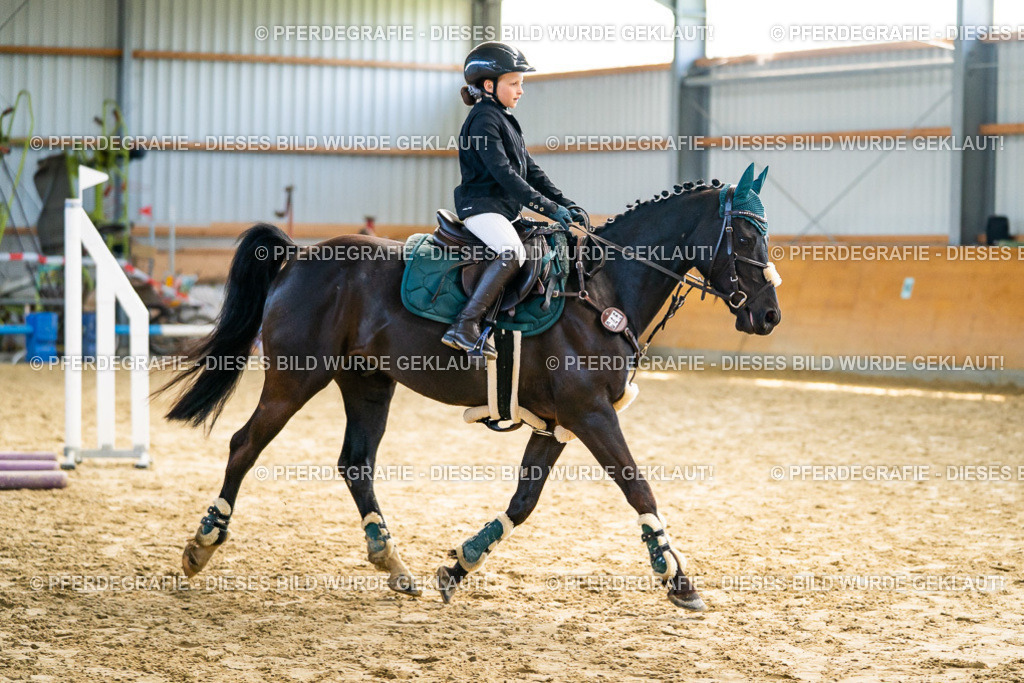 DSC01558 | Pferdegrafie