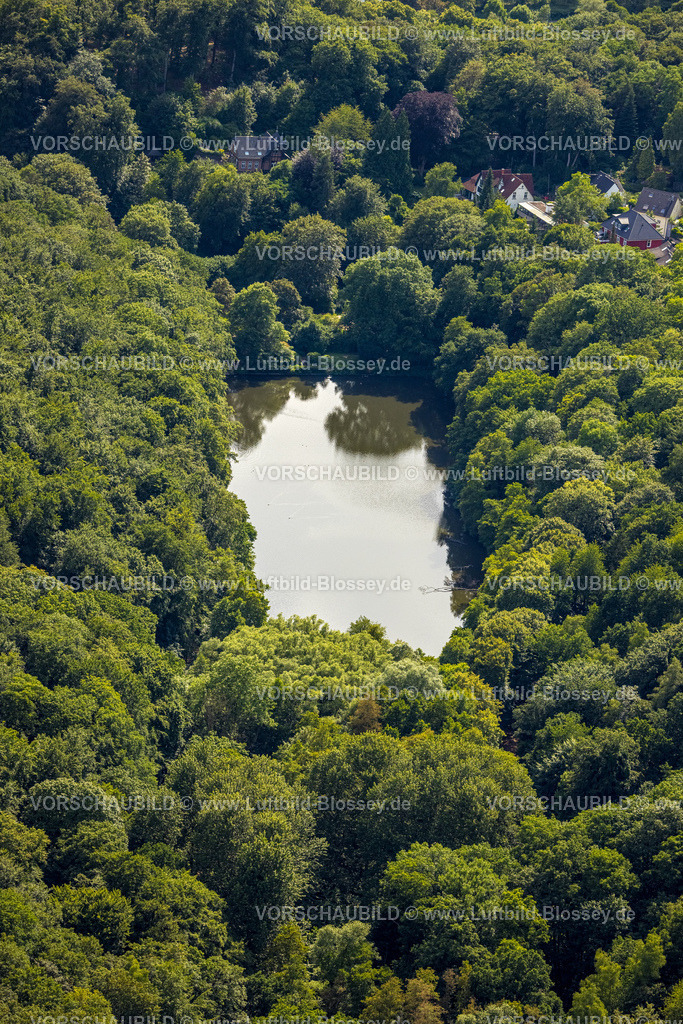 Witten230701340 | Luftbild, Hammerteich im Hohenstein Waldgebiet, Witten, Ruhrgebiet, Nordrhein-Westfalen, Deutschland