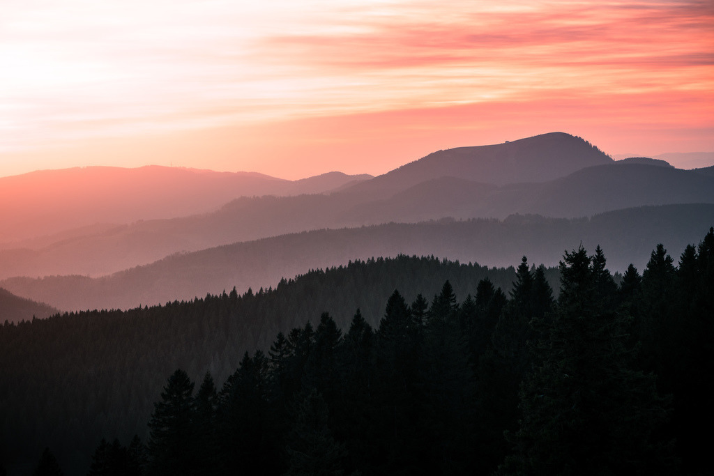 Herbstlicher Hochschwarzwald | Spätherbst im Hochschwarzwald mit Nebel über den Bergen. Blick vom Feldberg über den südlichen Schwarzwald. - Realisiert mit Pictrs.com