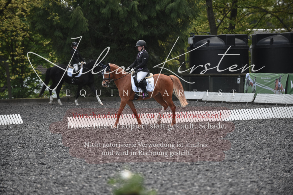 20230513_JK-Röhrsdorf-14-567 | Pferde- und Turnierfotografie in Westsachsen. Pferdeportraits, Auftragszeichnungen und intuitive Kunst.