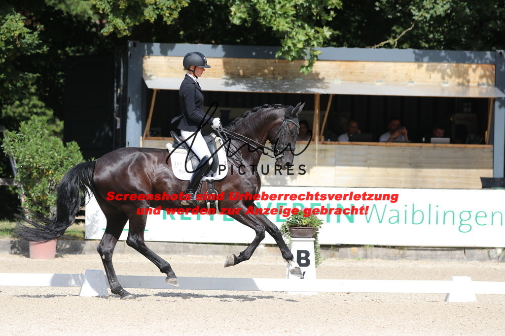 IMG_5315 | lmwpictures - Realisiert mit Pictrs.com