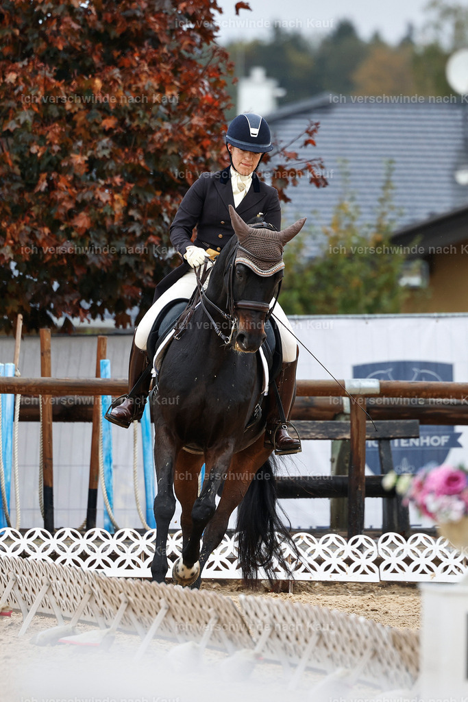07-191-DRESSUR  S___  -StoibPH-4989 | working equitationturnier fotograf videograf stoibphotography marixx film working equitation deutschland reitsport turnierfotografie eventfotografie equestrian events