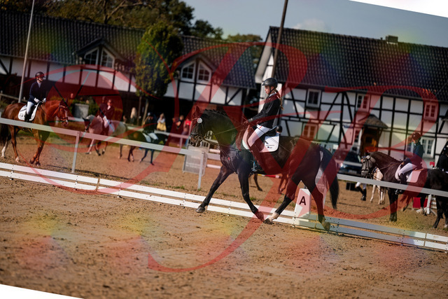2026_10_03_Siefer-Hof_115454_Z63_30205276 | Professionelle Reitsport-, Turnier- und Eventfotografie von Robert Broda. Galerien mit ausgewählten und bearbeiteten Bildern direkt online ansehen und bestellen.