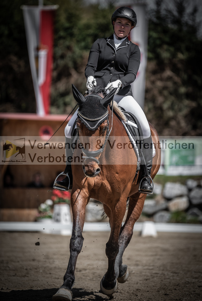 DSC_0567 | equestrian-live-com