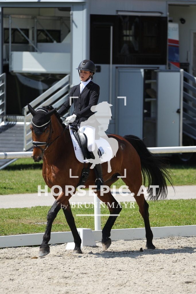 0P6A1196 | Willkommen bei Brunnmayr - Design & Fotografie – Ihrem Spezialisten für Reitturniere und Pferdeveranstaltungen in Oberösterreich, Salzburg und Bayern! Seit über 17 Jahren sind wir leidenschaftlich dabei.