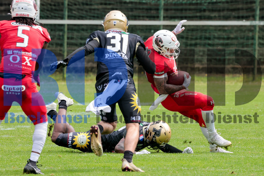 GFL: Paderborn Dolphins vs. New Yorker Lions{date} -  | {headline}(Foto: Sebastian Sendlak / BOND) - Realisiert mit Pictrs.com