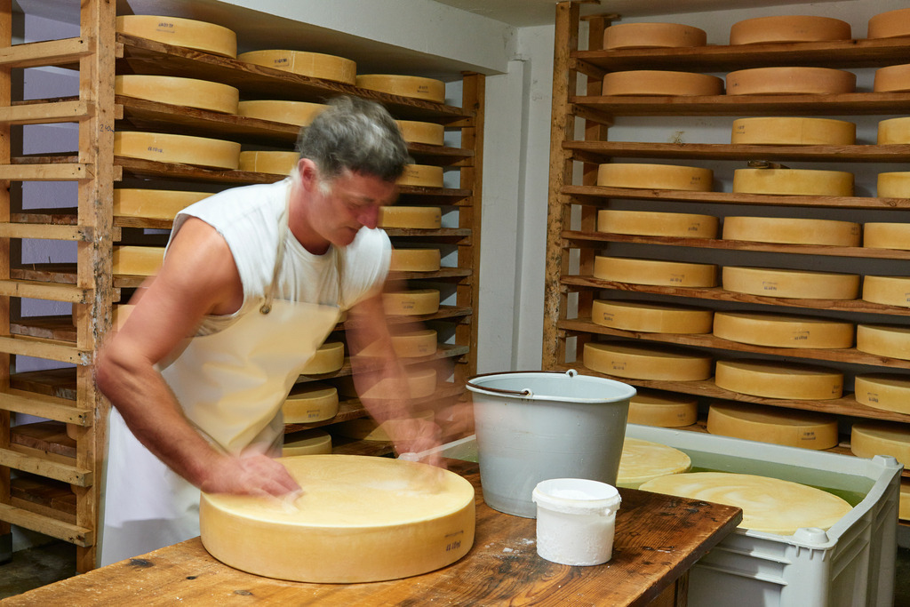 Markus Felder reibt den Käse mit Salz ein | Laterns, Austria - July 28, 2017: Markus Felder reibt den Käse mit Salz ein. - Realisiert mit Pictrs.com
