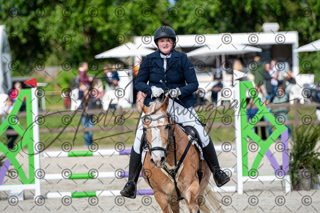 KPT_6706 | andre_photographic