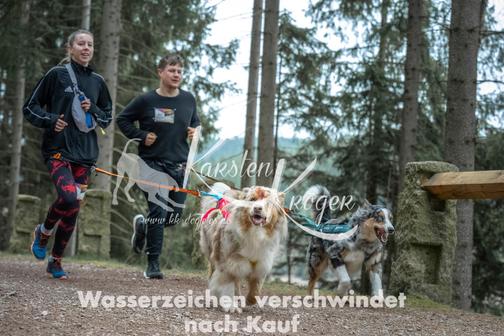 0815_ZZ90685 | kk-dogfotos