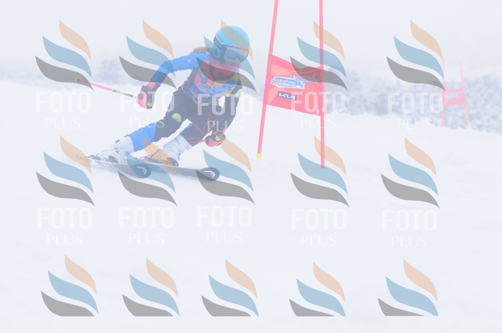 C2814 | holidayphoto