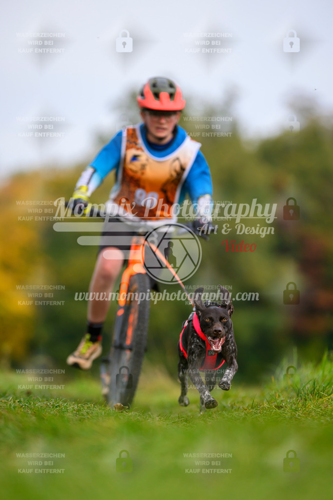 MompixPhotography_CDLBDB2025_DI_DS-99 | PayLife