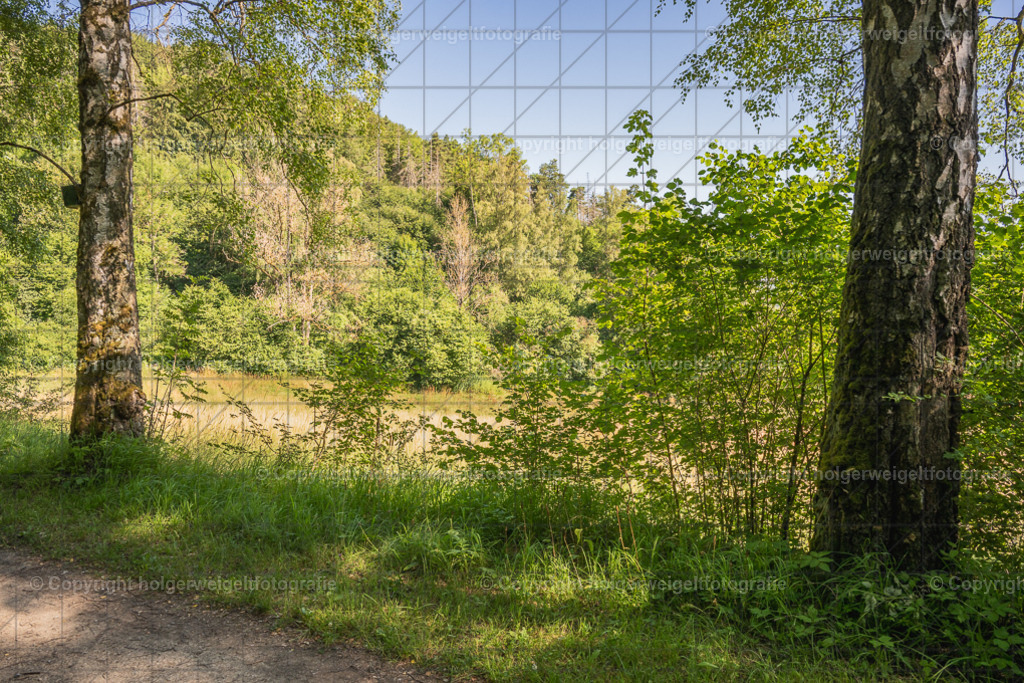 Birkenweg | Das ist das Julimotiv meines neuen Kalenders "Zeitreise durch Heilbad Heiligenstadt- Die 1960er und Heute" - Realisiert mit Pictrs.com