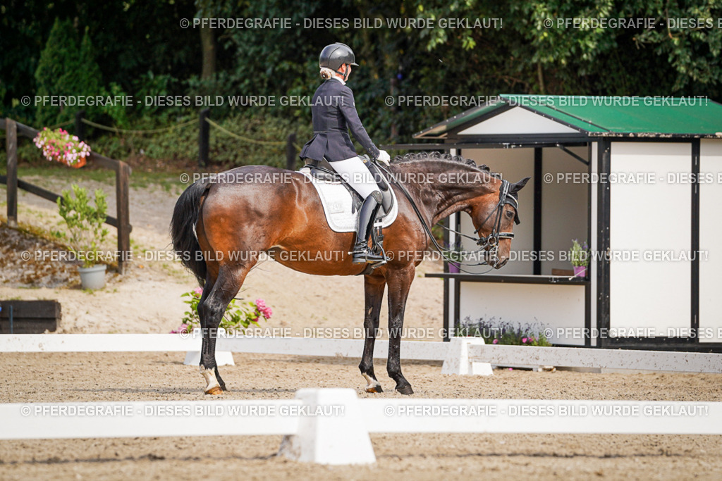 DSC06235 | Pferdegrafie