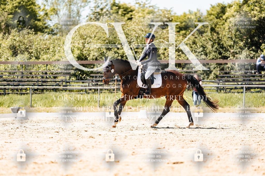CK905670 | Turnierfotografie Pferdefotografie Trier Rheinland-Pfalz Pferdesport Reitsport Tierfotografie Sportfotografie Pferdevideo Pferdevideografie Equestrianvideography equestrianphotography  - Realisiert mit Pictrs.com