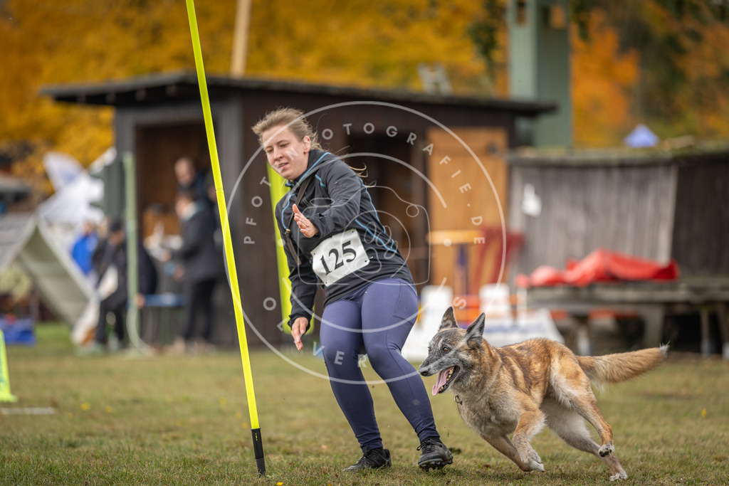 Pfotenfotografie_DV3A6663 | Hundefotografie, Tierfotograf, Pfotenfotografie, Fotoshooting Hund, Hunde Portrait, Hundesport, Hundeportraits, Heideshooting, Hunde, Sportfotograf, Hundefotograf, Turnierhundsport, THS,  - Realisiert mit Pictrs.com