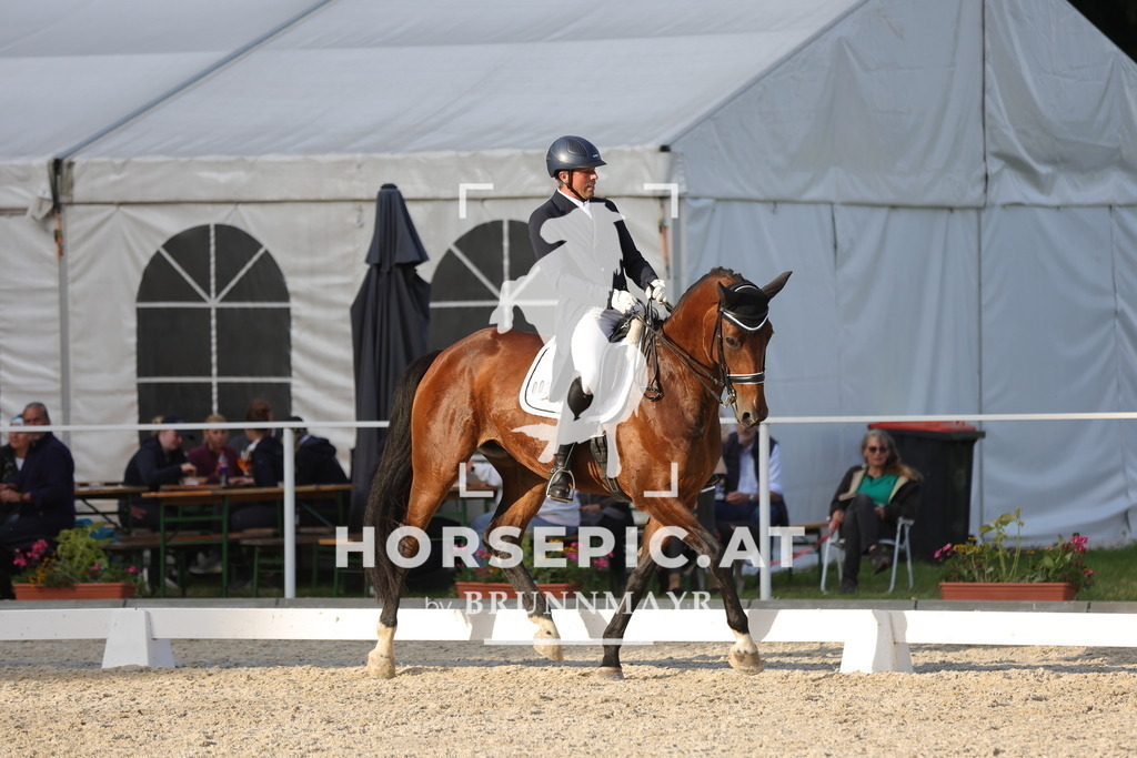 0P6A7886 | Willkommen bei Brunnmayr - Design & Fotografie – Ihrem Spezialisten für Reitturniere und Pferdeveranstaltungen in Oberösterreich, Salzburg und Bayern! Seit über 17 Jahren sind wir leidenschaftlich dabei.