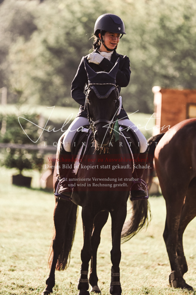 DSC_4620 | Pferde- und Turnierfotografie in Westsachsen. Pferdeportraits, Auftragszeichnungen und intuitive Kunst.