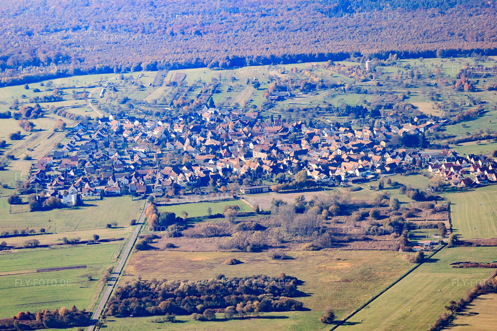 Luftbild: Ortsansicht von Osten im Ortsteil Büchelberg in Wörth im Bundesland Rheinland-Pfalz in Deutschland. Foto: IMG_35395.jpg vom 31.10.2010 durch Werner Riehm/FLY-FOTO.deAuflösung des Originals: 4483 x 2989 px