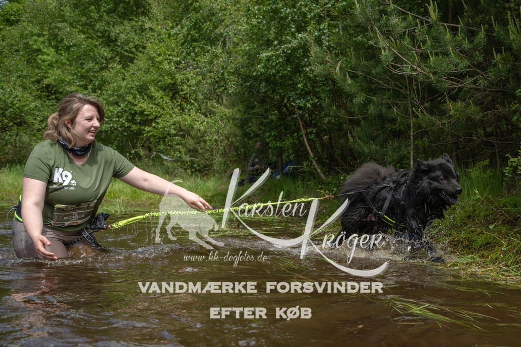 1225DKK992787 | kk-dogfotos
