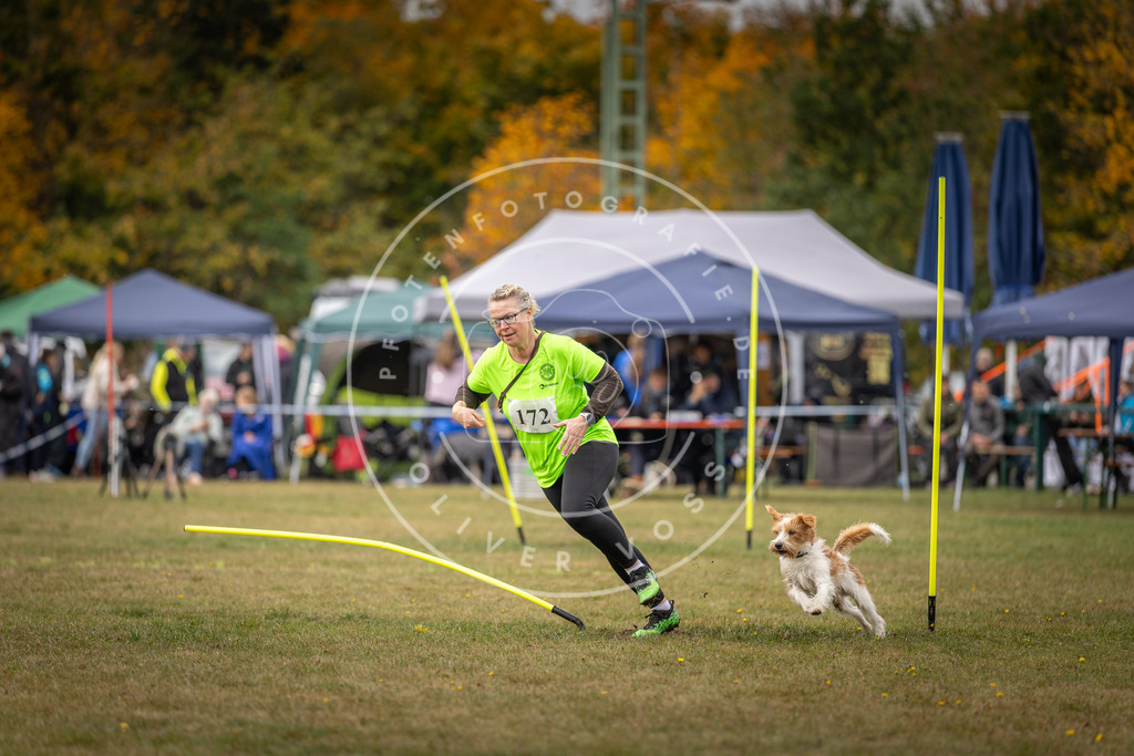 Pfotenfotografie_DV3A5912 | Hundefotografie, Tierfotograf, Pfotenfotografie, Fotoshooting Hund, Hunde Portrait, Hundesport, Hundeportraits, Heideshooting, Hunde, Sportfotograf, Hundefotograf, Turnierhundsport, THS,  - Realisiert mit Pictrs.com