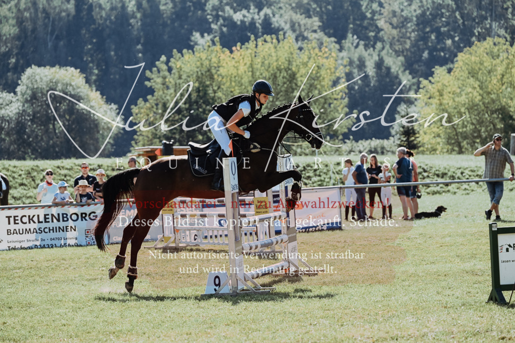 DSC_5500 | Pferde- und Turnierfotografie in Westsachsen. Pferdeportraits, Auftragszeichnungen und intuitive Kunst.