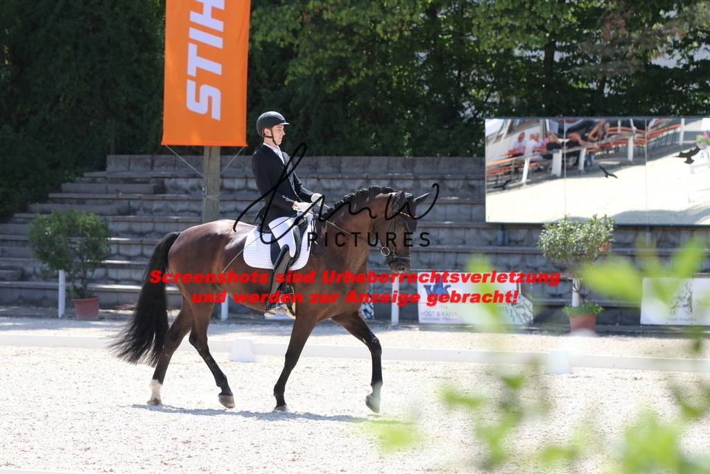 IMG_5066 | lmwpictures - Realisiert mit Pictrs.com