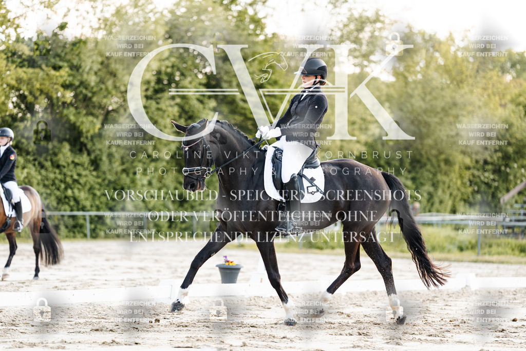 CK909416 | Turnierfotografie Pferdefotografie Trier Rheinland-Pfalz Pferdesport Reitsport Tierfotografie Sportfotografie Pferdevideo Pferdevideografie Equestrianvideography equestrianphotography  - Realisiert mit Pictrs.com