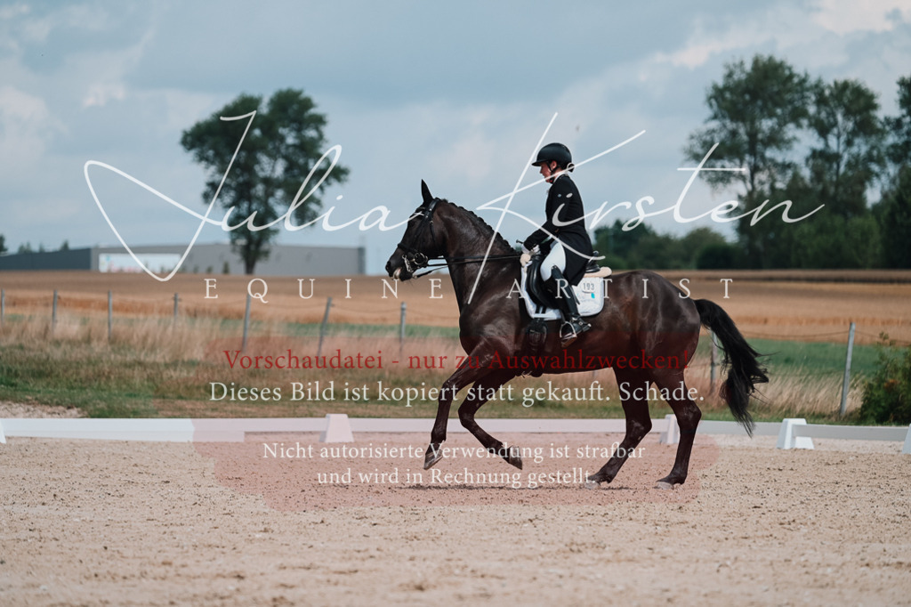 DSC_4274 | Pferde- und Turnierfotografie in Westsachsen. Pferdeportraits, Auftragszeichnungen und intuitive Kunst.