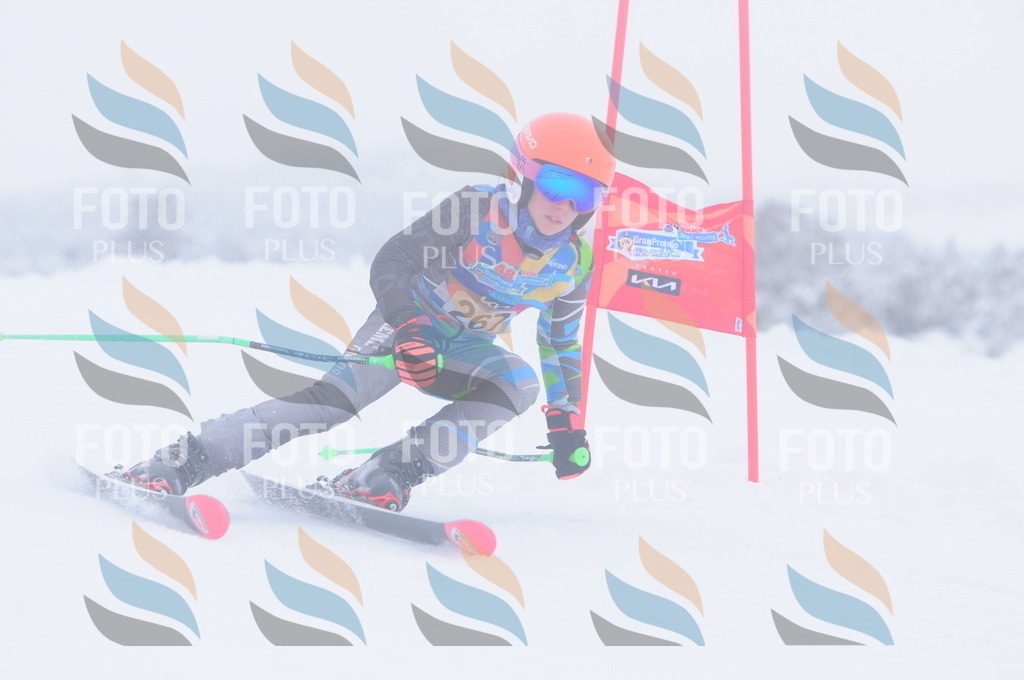 C2803 | holidayphoto