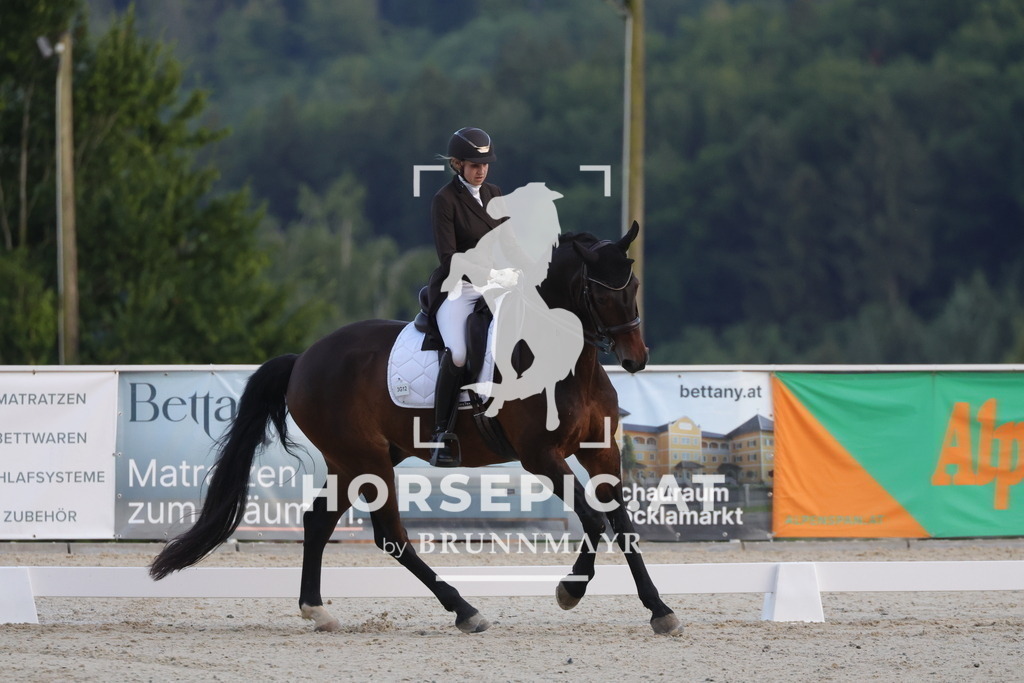0P6A3758 | Willkommen bei Brunnmayr - Design & Fotografie – Ihrem Spezialisten für Reitturniere und Pferdeveranstaltungen in Oberösterreich, Salzburg und Bayern! Seit über 17 Jahren sind wir leidenschaftlich dabei.