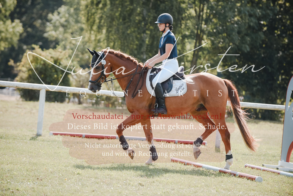 DSC_5341 | Pferde- und Turnierfotografie in Westsachsen. Pferdeportraits, Auftragszeichnungen und intuitive Kunst.