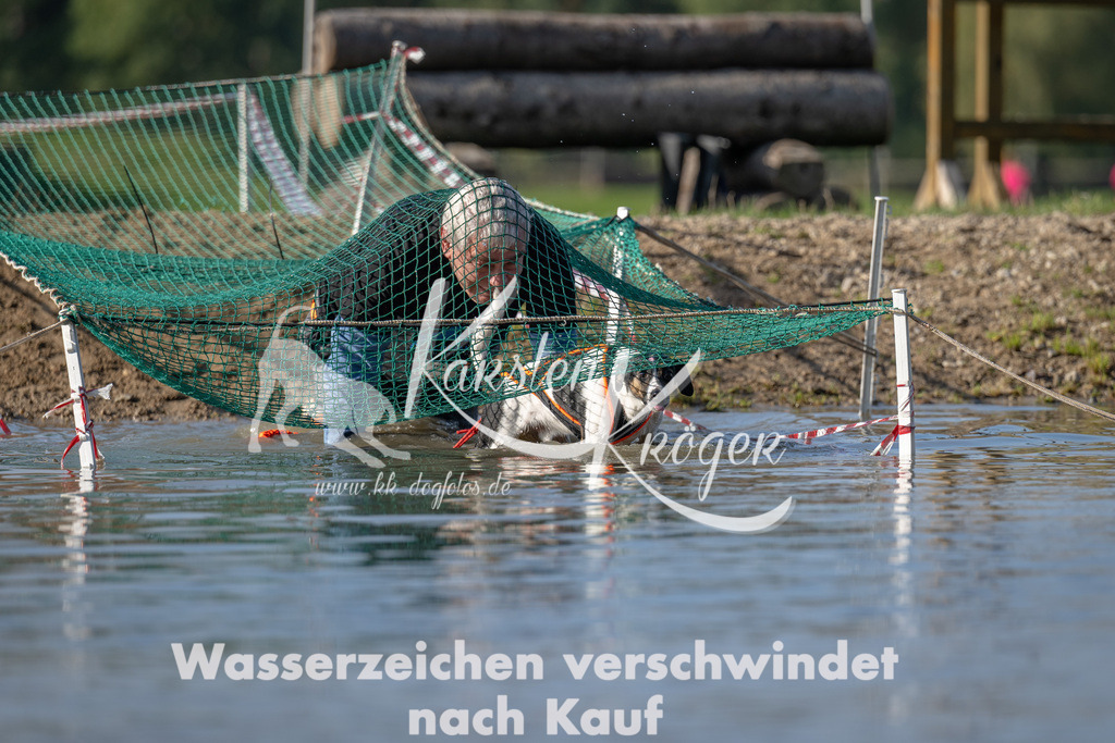 1117_ZZ92164 | kk-dogfotos