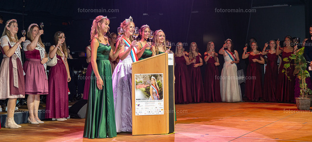 76.Gr_iwemaacher Wäinfest 2026. (171 von 243) | www.fotoromain.lu