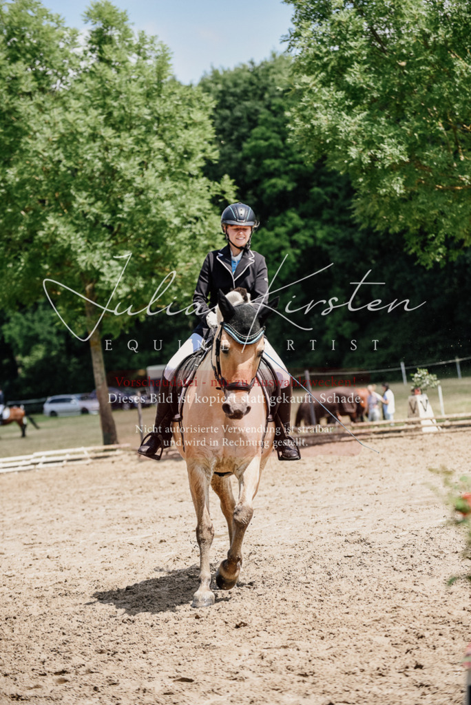 DSC_1676 | Pferde- und Turnierfotografie in Westsachsen. Pferdeportraits, Auftragszeichnungen und intuitive Kunst.