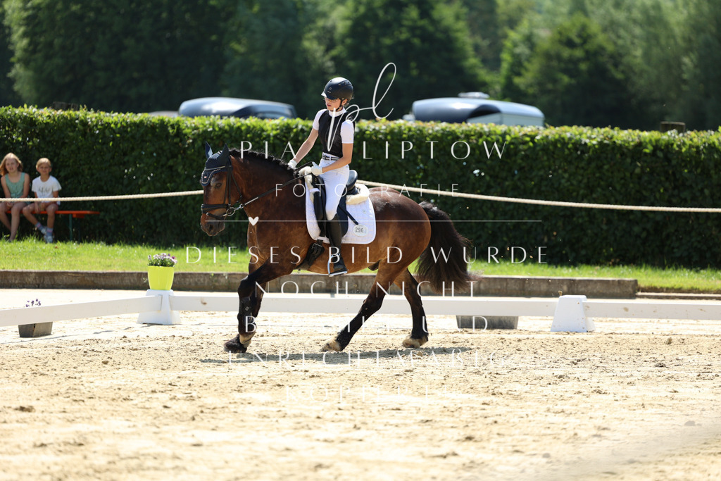 IMGM0898 | pl-fotografie