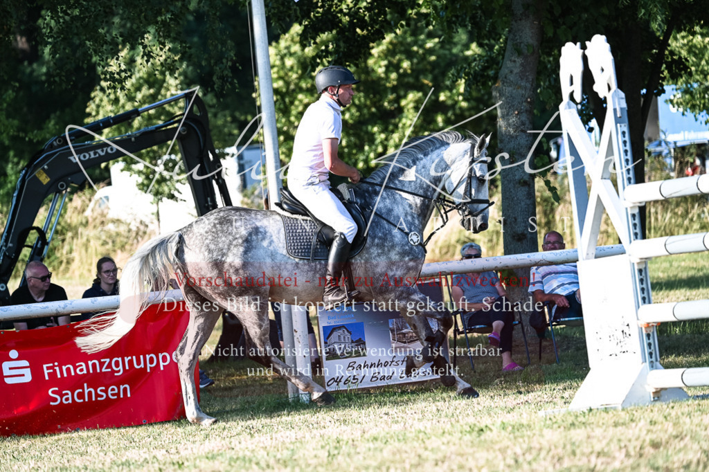 DSC_3145 | Pferde- und Turnierfotografie in Westsachsen. Pferdeportraits, Auftragszeichnungen und intuitive Kunst.