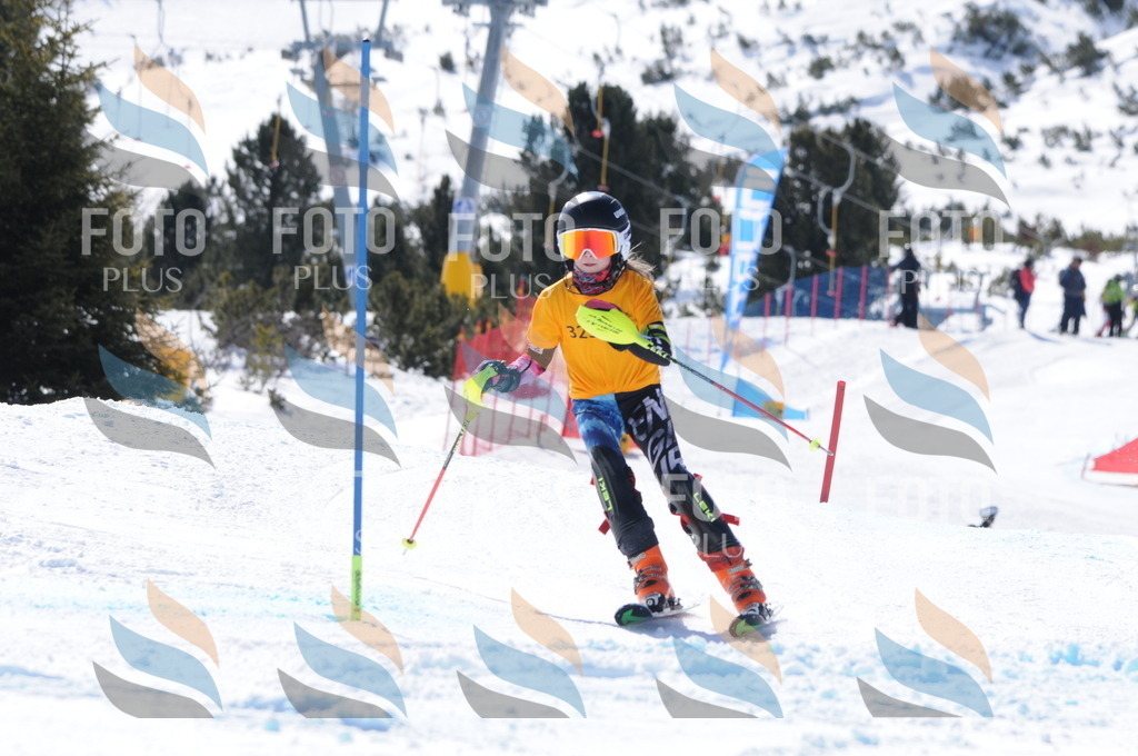 C9233 | holidayphoto