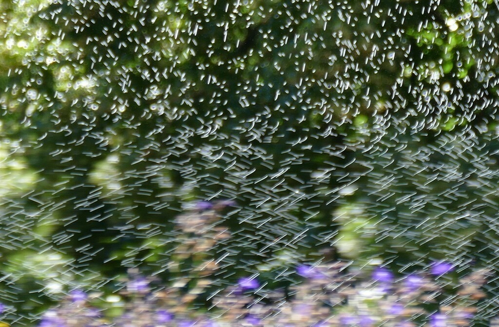 P3760091_a | Annaeherungen - Realisiert mit Pictrs.com