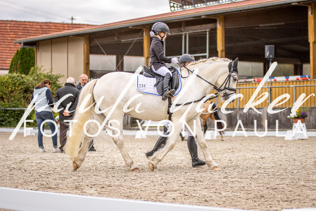 IMG_4040 | Erleben Sie dynamische Sport- und emotionale Tierfotografie in Süddeutschland mit Fotos von Paula. Spezialisiert auf Pferde- und Hundefotografie sowie Sportevents. Kontaktieren Sie mich für einzigartige und ausdrucksstarke Bilder Ihrer besonderen Momente. - Realisiert mit Pictrs.com