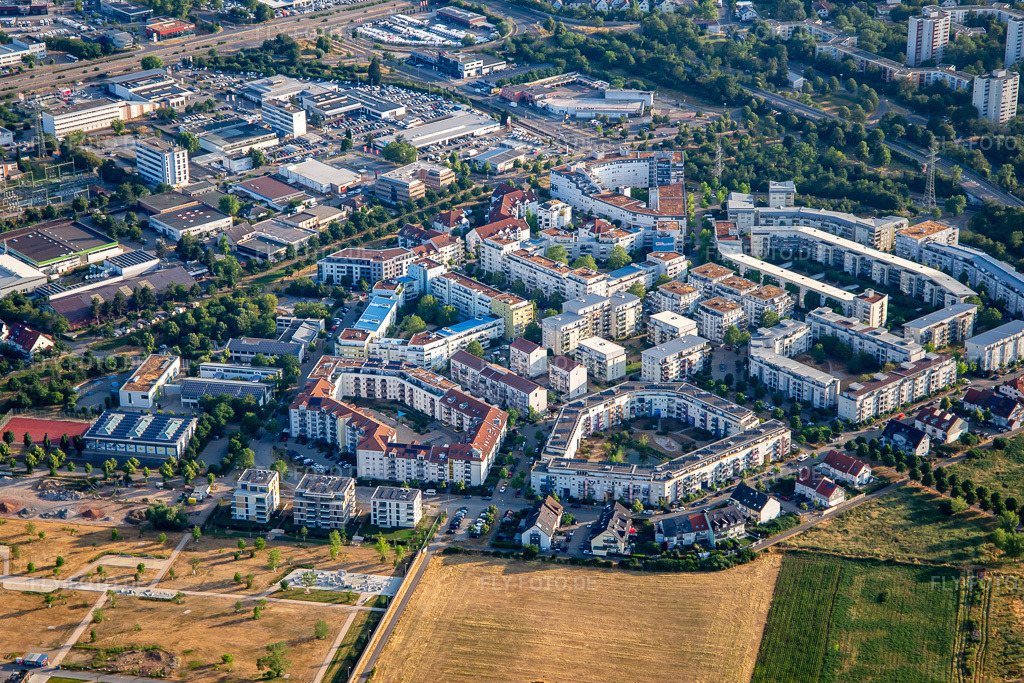 Luftbild: Ida-Dehmel-Ring im Ortsteil Käfertal in Mannheim im Bundesland Baden-Württemberg in Deutschland. Foto: IMG_136929.jpg vom 24.06.2023 durch Werner Riehm/FLY-FOTO.de