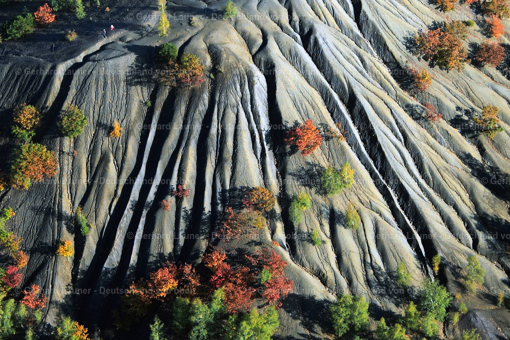 3070490 | herbstliche Bäume auf der Halde Jägersfreude Dudweiler.