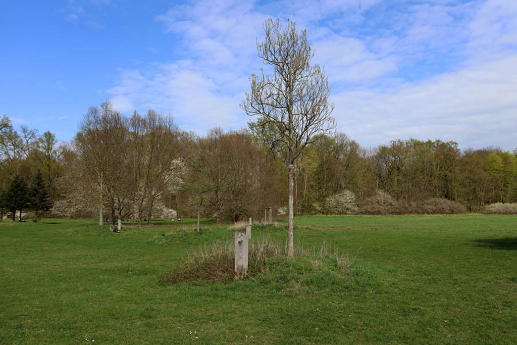 Volkspark Kleinzschocher - Leipziger Hain der Jahresbäume | Entdecke über 20 Kategorien Leipzig-Motive: Foto-Downloads, hochwertige Poster, Leinwand- & Fine-Art-Prints. Jetzt Lieblingsfoto im Bildlexikon Leipzig Shop bestellen!