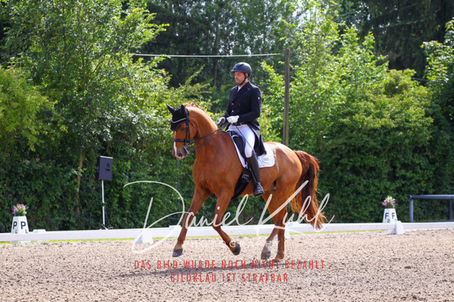DKP41268 | Deine Turnierfotos vom Reitturnier online kaufen: Dressur, Springen & Siegerehrung. Professionelle Pferdefotografie aus dem Rheinland – als Download & Print.Alternative: Turnierfotograf für den Pferdesport: Finde deine Fotos von Dressur- und Springturnier