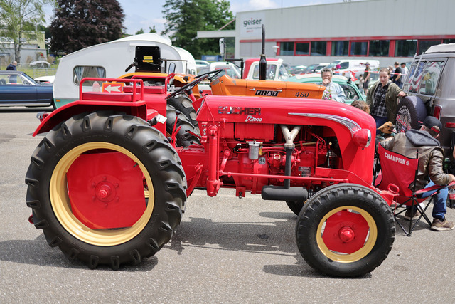 Calag_Oldtimer2025-05 | Ich fotografiere Hundeausstellungen, Sportanlässe, Zuchtstätten, Hundezucht, Hundeportrait, Lagotto - Realisiert mit Pictrs.com