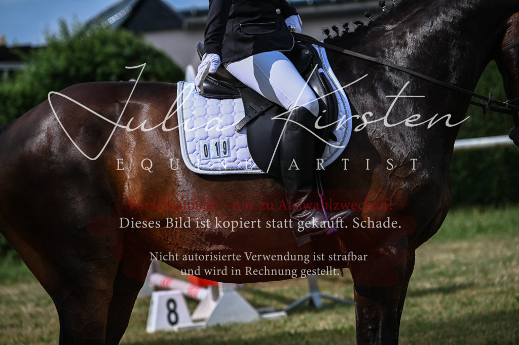 DSC_8304 | Pferde- und Turnierfotografie in Westsachsen. Pferdeportraits, Auftragszeichnungen und intuitive Kunst.