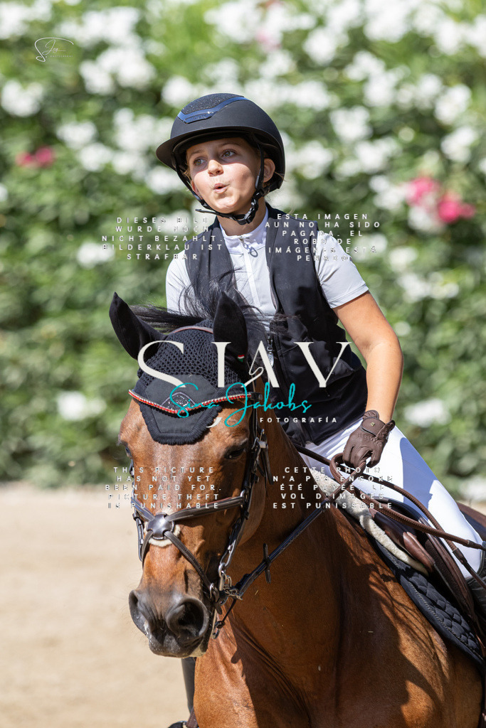 IMG_9843 | s-jay-photography - Realisiert mit Pictrs.com