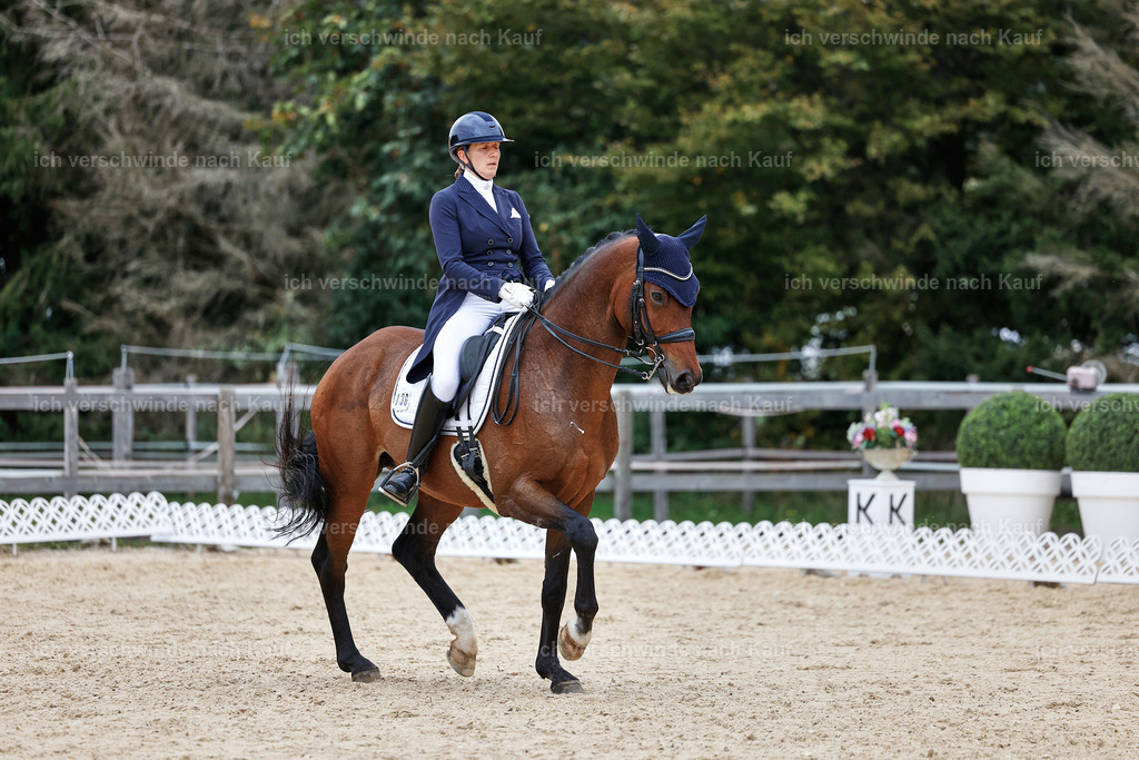11-036-Dressur S___-StoibPH-1446 | working equitationturnier fotograf videograf stoibphotography marixx film working equitation deutschland reitsport turnierfotografie eventfotografie equestrian events
