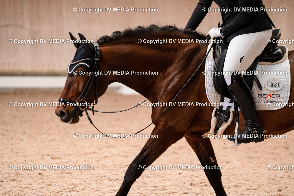 Dressur Tag 2-325 | dv-media-shop - Realisiert mit Pictrs.com