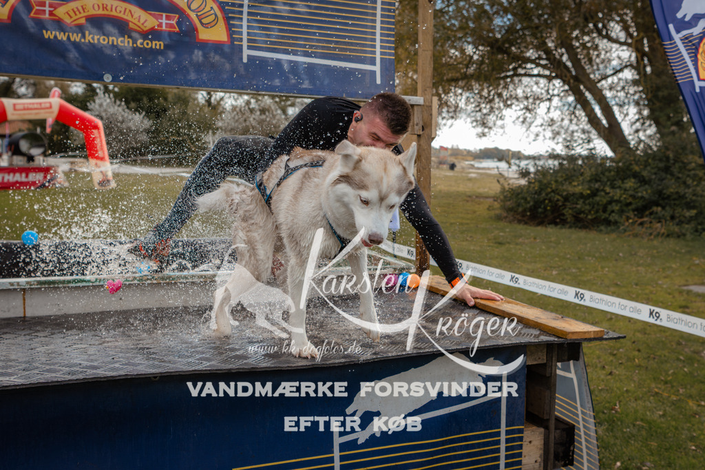 1341_ZZ91850-2 | kk-dogfotos