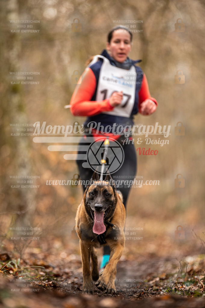 Reiat2023_SON_CaniXRun_5km_W-57 | PayLife
